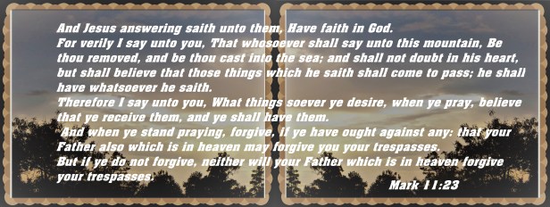 © Photo Artist Susan Ruth Robertson 090025006100 007 - Copy (2).JPG