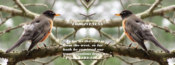 © Photo Artist Susan Ruth Robertson 090025006100 007 - Copy.JPG