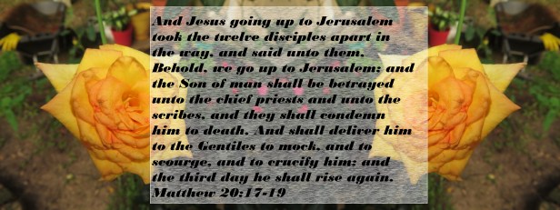 © Photo Artist Susan Ruth Robertson 090025006100 009 - Copy.JPG