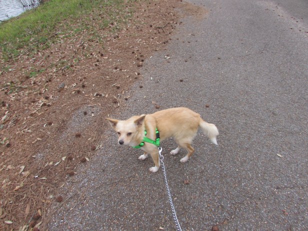 photo-artist-susan-ruth-robertson-090025006100-009