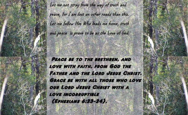 © Photo Artist Susan Ruth Robertson 090025006100 010 - Copy.JPG