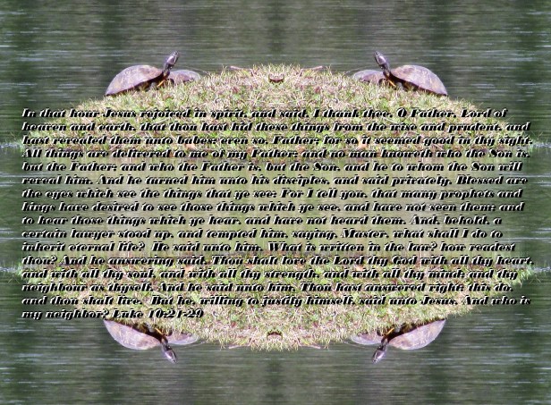 © Photo Artist Susan Ruth Robertson 090025006100 017 - Copy - Copy.JPG