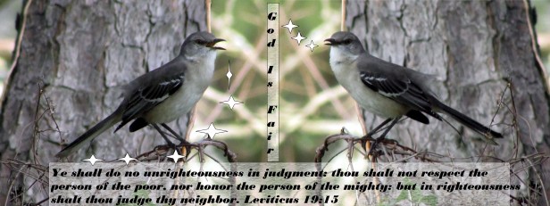 © Photo Artist Susan Ruth Robertson 090025006100 017 - Copy.JPG