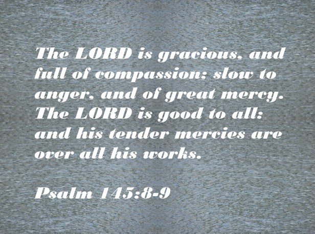 © Photo Artist Susan Ruth Robertson 090025006100 018 - Copy - Copy.JPG