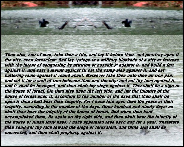 © Photo Artist Susan Ruth Robertson 090025006100 038 - Copy - Copy - Copy.JPG