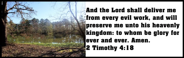 © Photo Artist Susan Ruth Robertson 090025006100 042.JPG