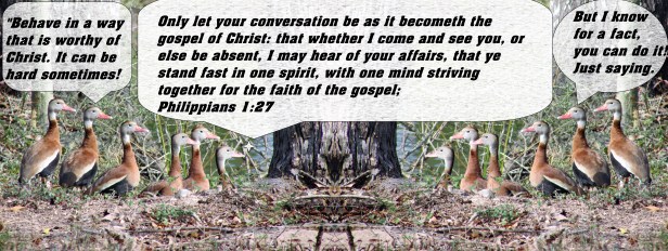 © Photo Artist Susan Ruth Robertson 090025006100 044 - Copy.JPG