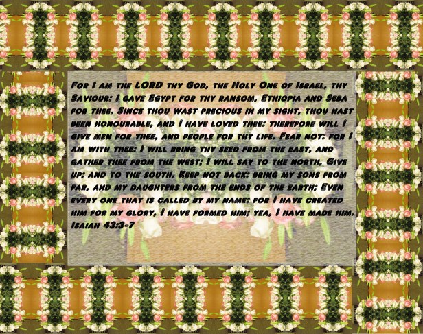 © Photo Artist Susan Ruth Robertson 090025006100 047 - Copy (3) - Copy - Copy.JPG