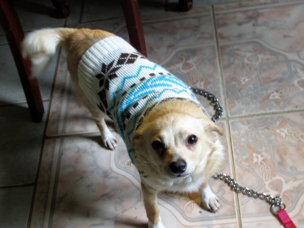 © Photo Artist Susan Ruth Robertson 090025006100 047.JPG