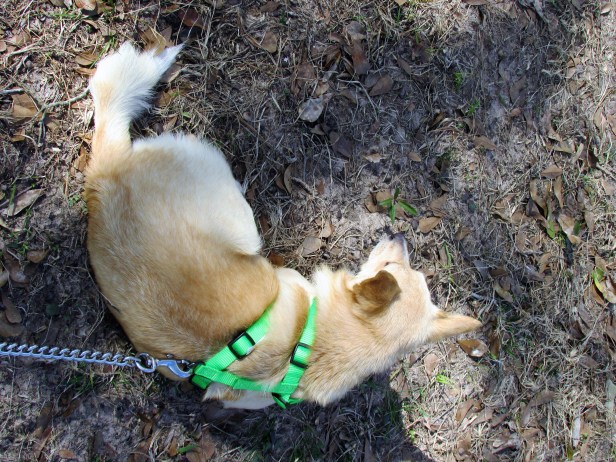 © Photo Artist Susan Ruth Robertson 090025006100 070.JPG