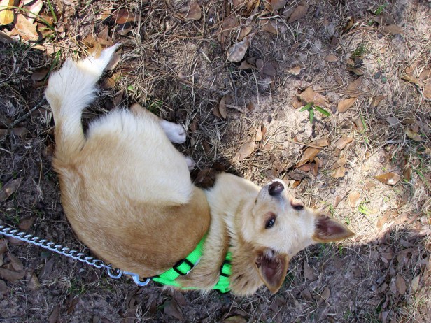 © Photo Artist Susan Ruth Robertson 090025006100 071.JPG