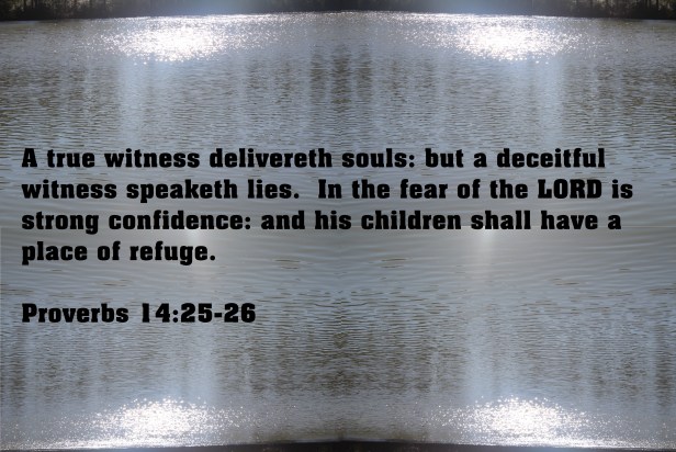 © Photo Artist Susan Ruth Robertson 090025006100 105.JPG