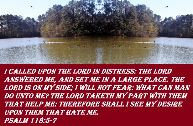 © Photo Artist Susan Ruth Robertson 090025006100 108 - Copy.JPG