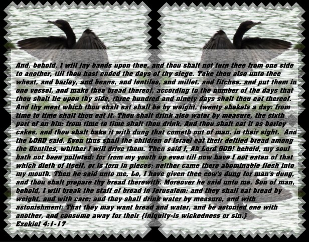 © Photo Artist Susan Ruth Robertson 090025006100 118 - Copy - Copy.JPG