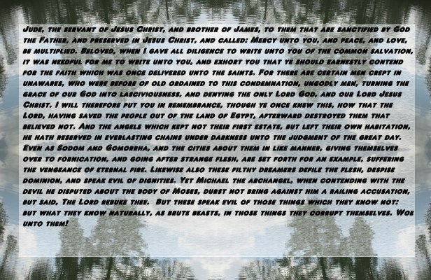 © Photo Artist Susan Ruth Robertson 090025006100 133 - Copy - Copy - Copy.JPG