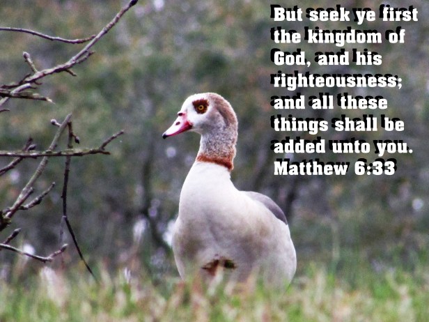 © Photo Artist Susan Ruth Robertson 090025006100 181 - Copy.JPG