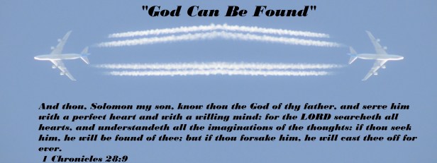 © Photo Artist Susan Ruth Robertson 090025006100 😁🙏💯 004 (3) - Copy - Copy.JPG