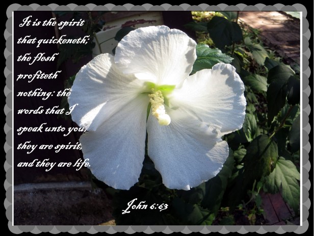 © Photo Artist Susan Ruth Robertson 090025006100 002 - Copy (2).JPG