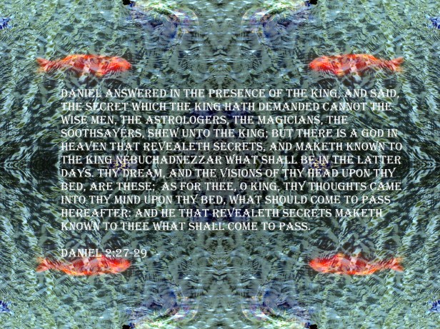 © Photo Artist Susan Ruth Robertson 090025006100 002 - Copy - Copy.JPG