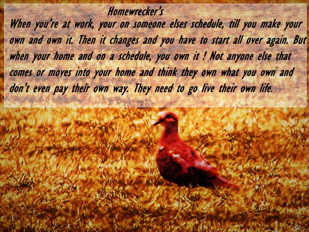 © Photo Artist Susan Ruth Robertson 090025006100 004 - Copy (2).JPG