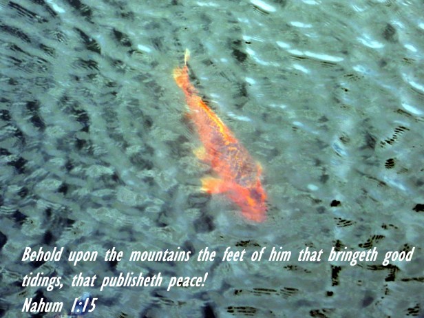 © Photo Artist Susan Ruth Robertson 090025006100 004 - Copy.JPG