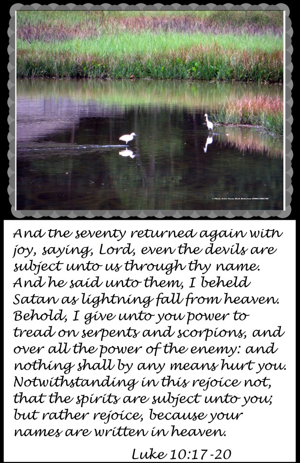 © Photo Artist Susan Ruth Robertson 090025006100 004 - Copy.JPG