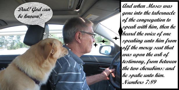 © Photo Artist Susan Ruth Robertson 090025006100 004 - Copy.JPG