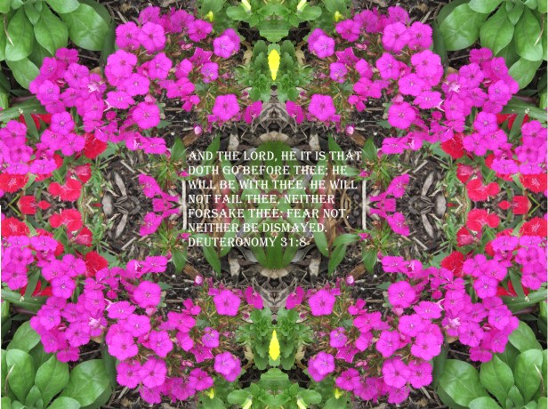 © Photo Artist Susan Ruth Robertson 090025006100 006.JPG