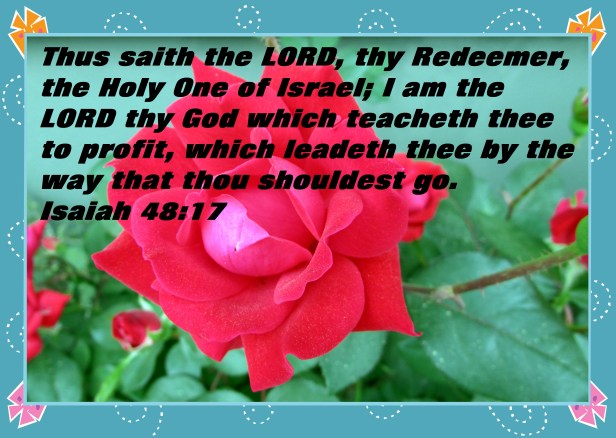 © Photo Artist Susan Ruth Robertson 090025006100 008 - Copy