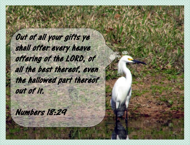 © Photo Artist Susan Ruth Robertson 090025006100 009 - Copy.JPG