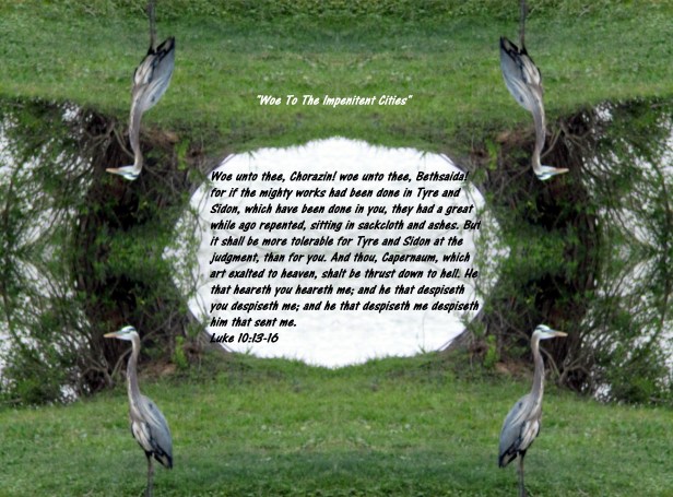 © Photo Artist Susan Ruth Robertson 090025006100 009 - Copy.JPG