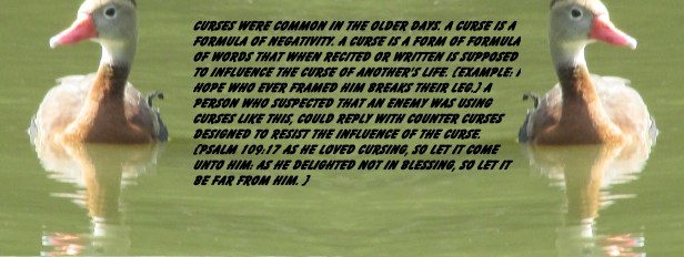 © Photo Artist Susan Ruth Robertson 090025006100 015 - Copy.JPG