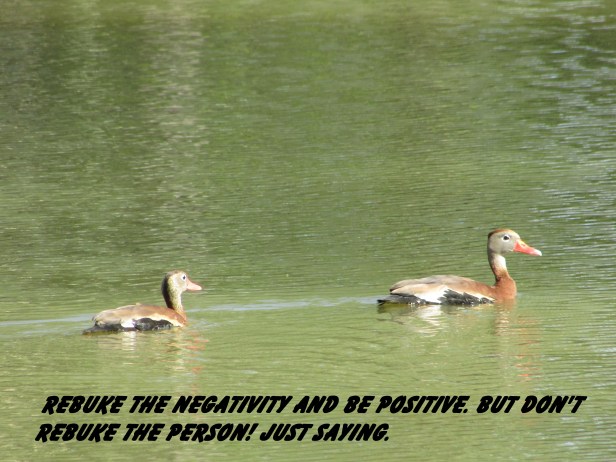 © Photo Artist Susan Ruth Robertson 090025006100 017 - Copy.JPG