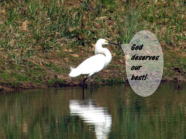 © Photo Artist Susan Ruth Robertson 090025006100 022.JPG