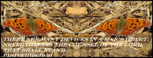 © Photo Artist Susan Ruth Robertson 090025006100 031.JPG