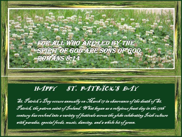 © Photo Artist Susan Ruth Robertson 090025006100 069 - Copy - Copy.JPG