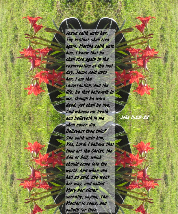 © Photo Artist Susan Ruth Robertson 090025006100 106 - Copy.JPG