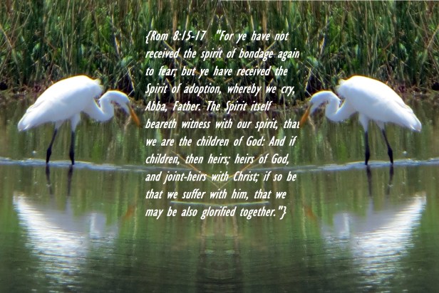 © Photo Artist Susan Ruth Robertson 090025006100  (34) - Copy.JPG