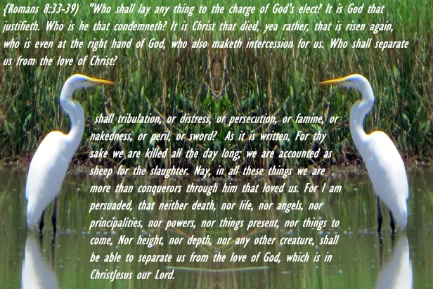 © Photo Artist Susan Ruth Robertson 090025006100  (35) - Copy.JPG