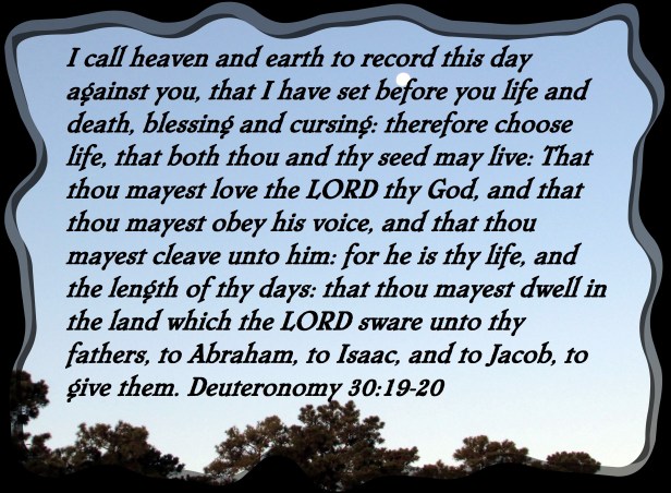 ©Photo Artist Susan Ruth Robertson 090025006100 009 - Copy (2).JPG