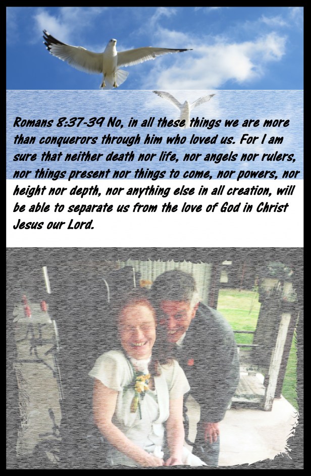 Photo Artist Susan Robertson (101) - Copy