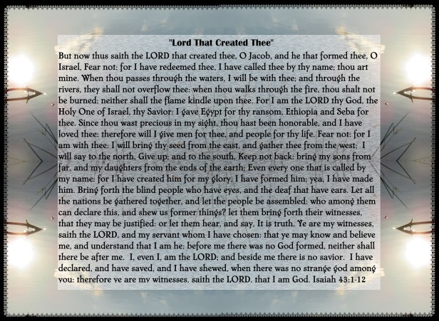 SX400 IS © Photo Artist Susan Ruth Robertson 090025006100 008 - Copy - Copy - Copy.JPG