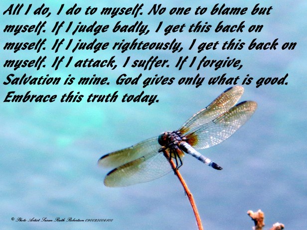 © Photo Artist Susan Ruth Robertson 090025006100 008 - Copy.JPG