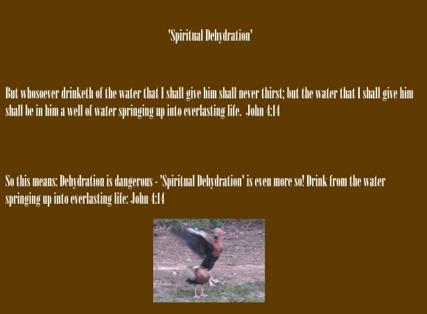 © Photo Artist Susan Ruth Robertson 090025006100 010 - Copy.JPG