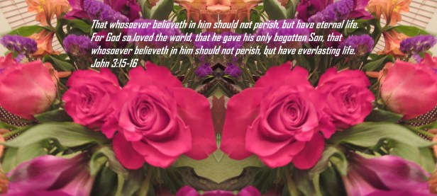 © Photo Artist Susan Ruth Robertson 090025006100 011 - Copy (2) - Copy.JPG