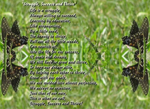 © Photo Artist Susan Ruth Robertson 090025006100 016 - Copy - Copy.JPG