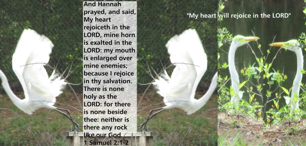 © Photo Artist Susan Ruth Robertson 090025006100 019.JPG