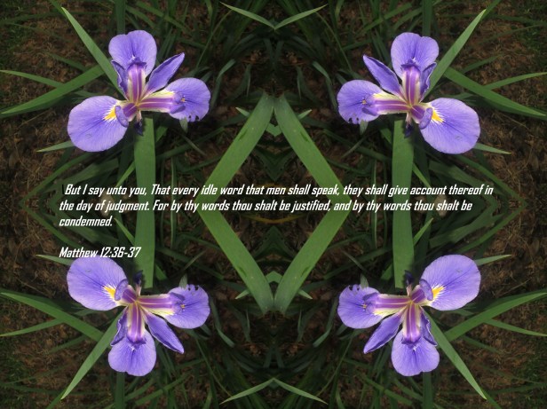 © Photo Artist Susan Ruth Robertson 090025006100 029 - Copy - Copy.JPG