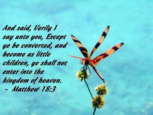 © Photo Artist Susan Ruth Robertson 090025006100 030 - Copy.JPG