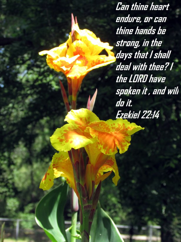 © Photo Artist Susan Ruth Robertson 090025006100 040 - Copy.JPG